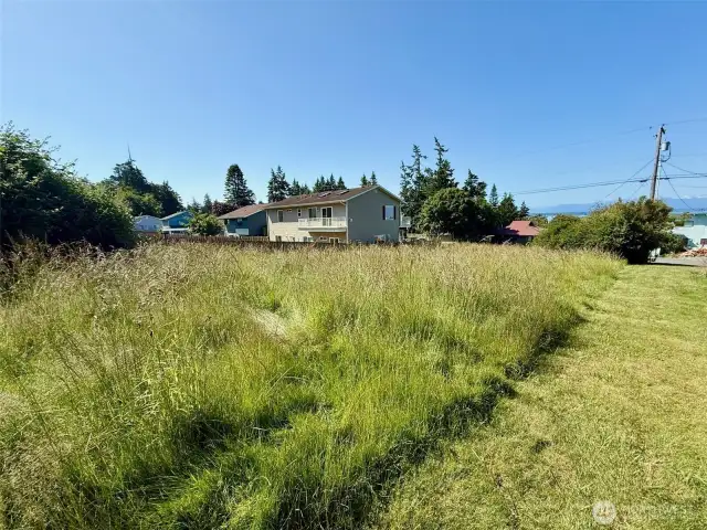 NE Corner of property looking SW