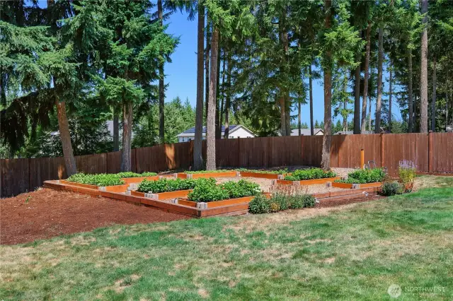 RAISED GARDEN BEDS