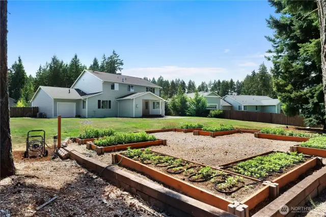 HUGE YARD