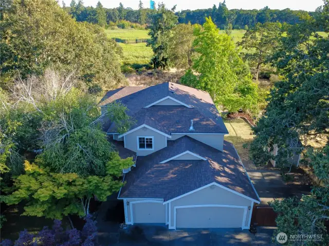 Street View: Elevated Drone Shot