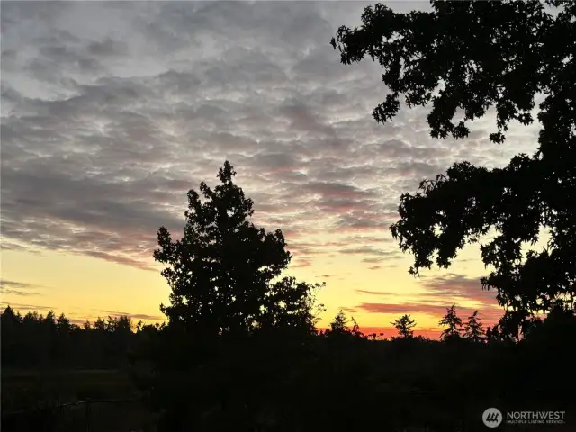 Sunset Backyard