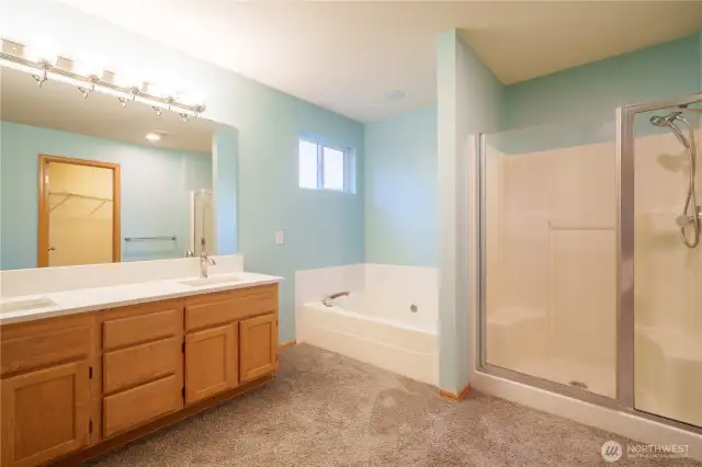 Primary Bathroom: Upstairs