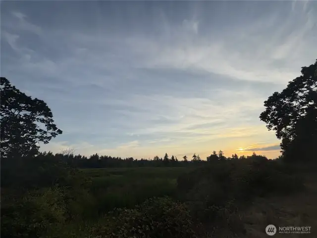 Sunset Backyard