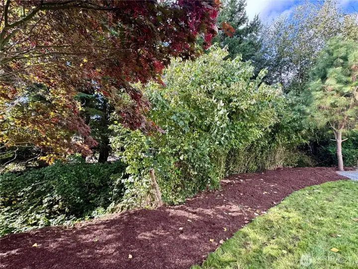 Greenbelt area.