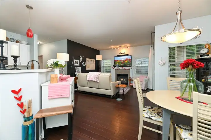 View from the entry.