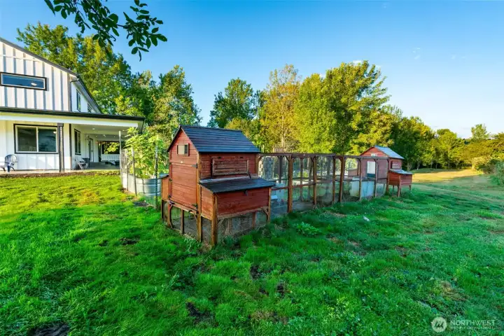 Chicken coop and garden area