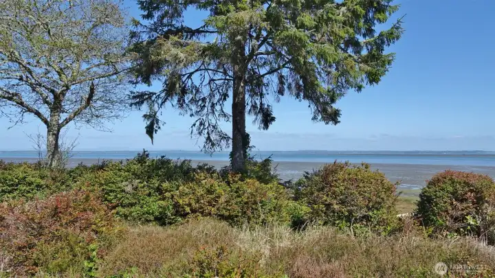 Bay and Mountain views from the lot.