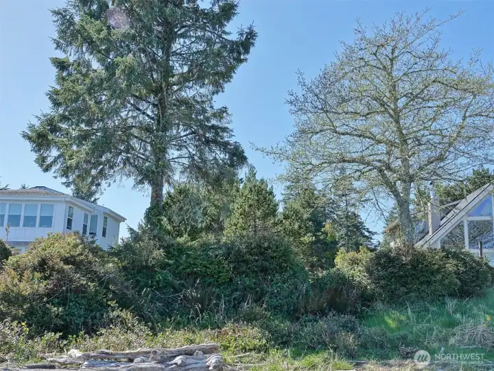 View of the Back of the Lot along the Bay.