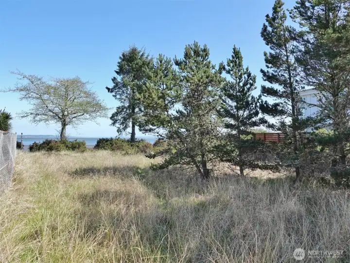 View of the interior of the lot.