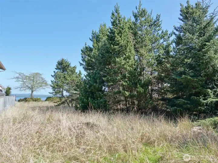 View of the interior of the lot.