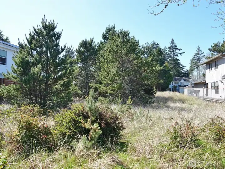 View from the back of the lot looking towards the front (looking West).