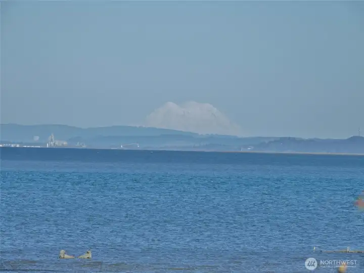 Close-up view of Mt Rainier from the lot.