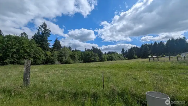 Pasture Pasture