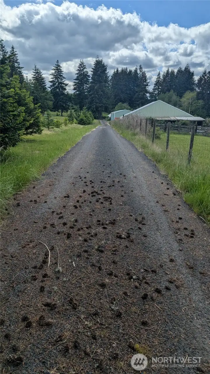 Long Paved Driveway Long Paved Driveway