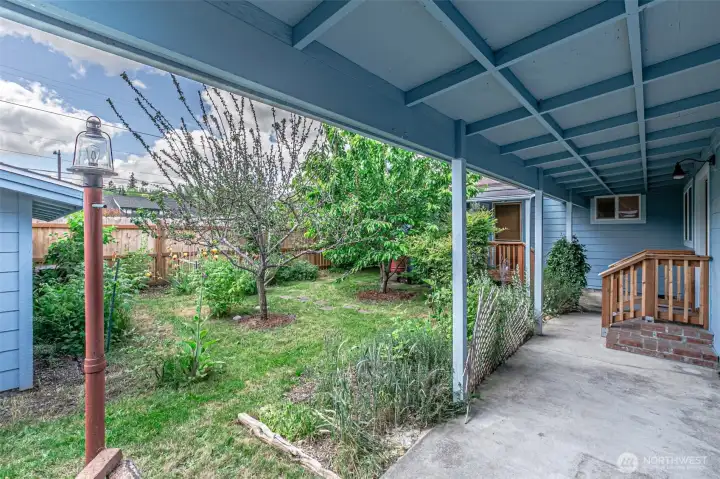 Covered back patio