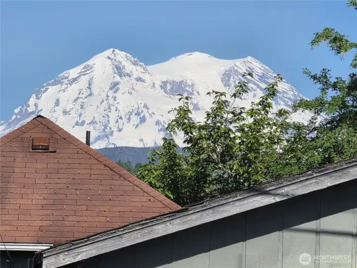 Actual Peek-a-Boo view from side/back yard.