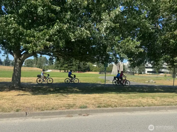 Prestine biking paths. Prestine biking paths.