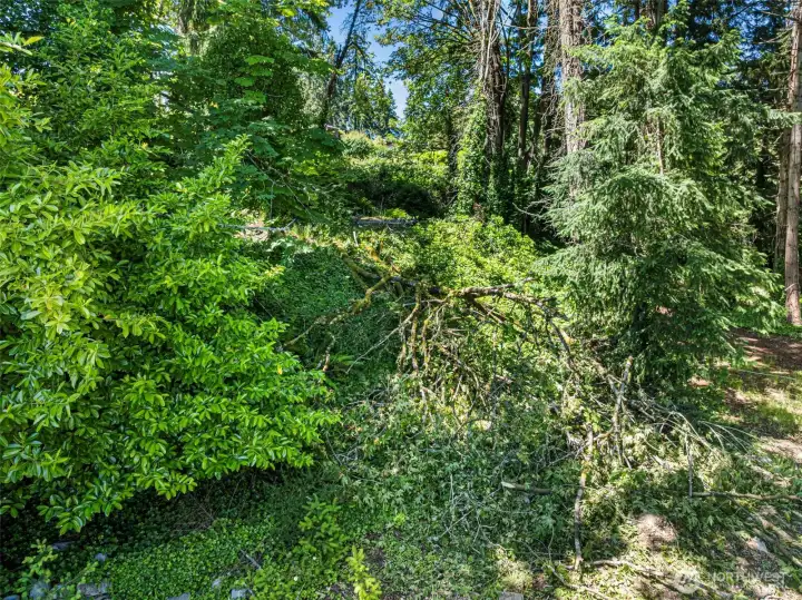 Seller has done much of the planning and work with Kitsap County.