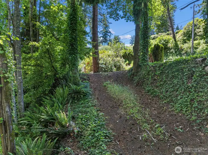 View from lower elevation.