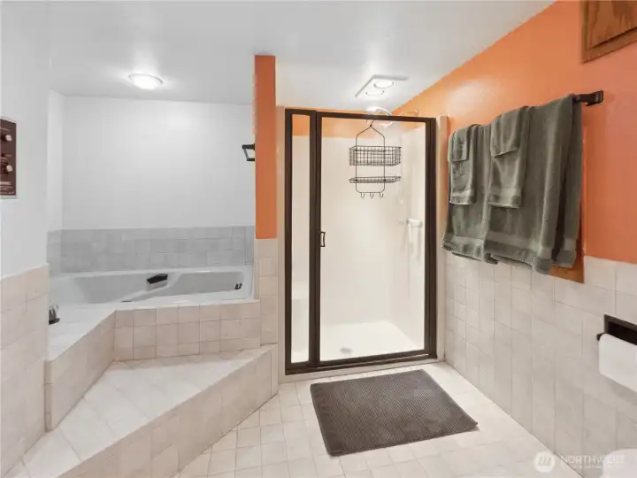 Shower and soaking tub