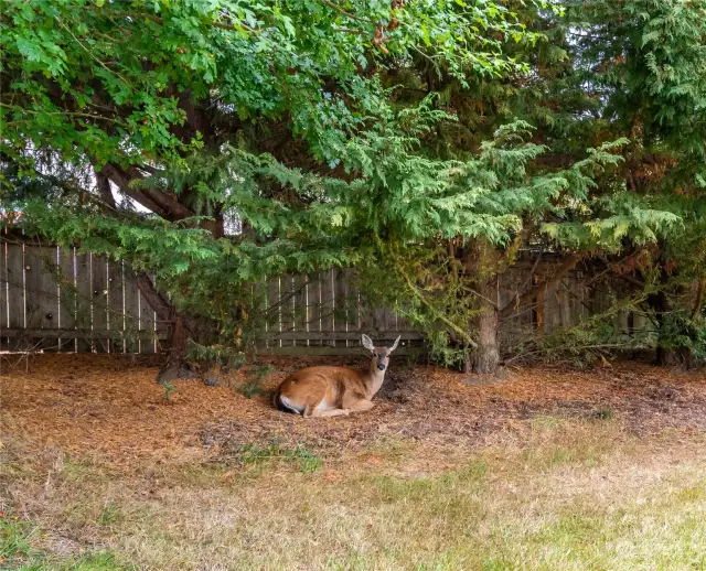 Friendly quiet neighbors will pop in.