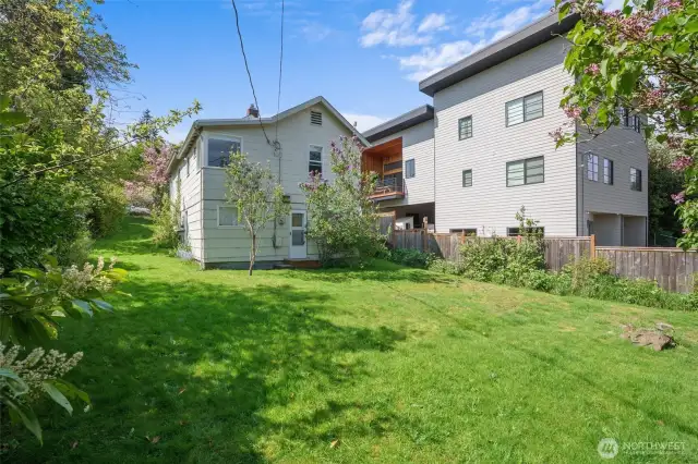 The large 6000 sq ft lot is mostly level and runs from the street to the alley!