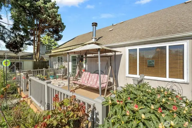 Back Patio