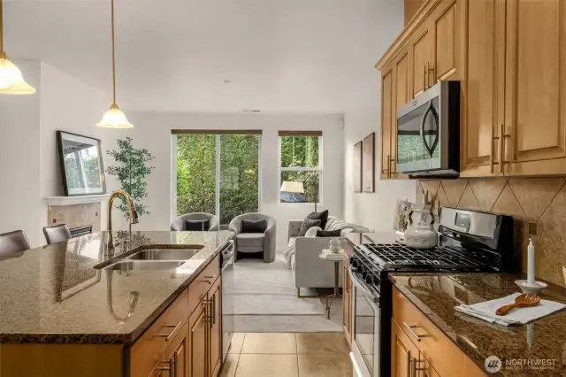 Granit countertops and stainless steel appliances