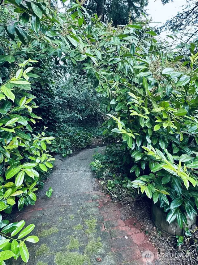 Heavily wooded yard with pathway to partially fenced yard