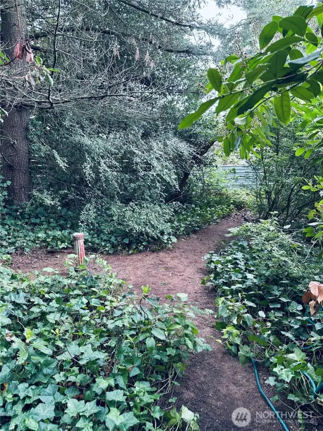 Heavily wooded yard with pathway to partially fenced yard