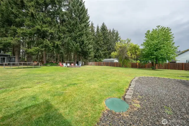 Backyard from the patio to the right.