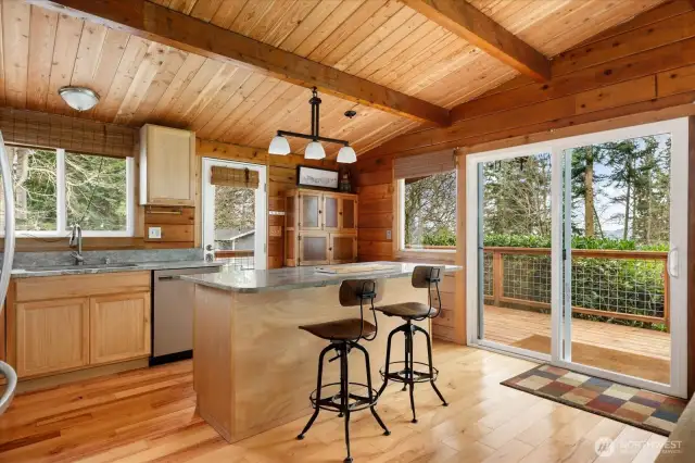 Island breakfast bar and efficient kitchen.