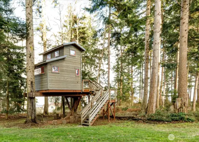 This is no do-it-yourself treehouse! It is solidly built!