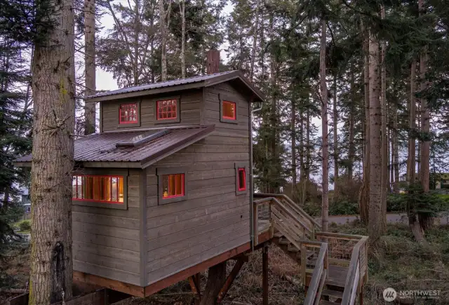 Hang out with the owls in the treetops