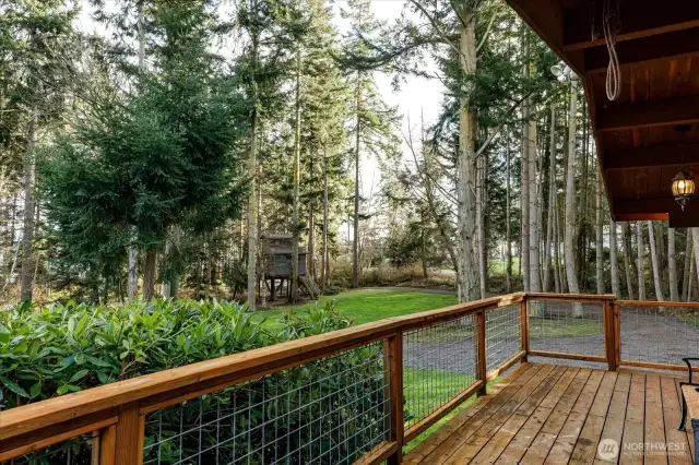 Looking toward the driveway entrance and the treehouse.