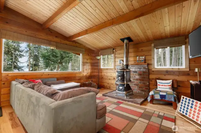 What a wonderful, cozy room in which to play games, listen to music or watch movies. Don't forget the popcorn!