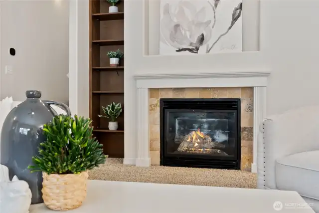 Gas Fireplace