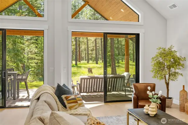 Views to outside covered back patio.
