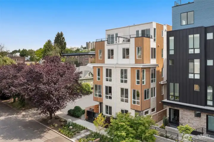 Modern architectural lines frame a home that is as beautiful as it is functional.