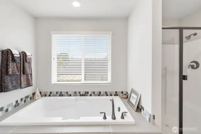 Owner's suite garden tub
