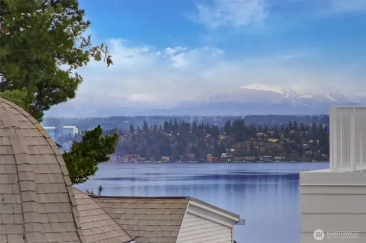Views vary from each home