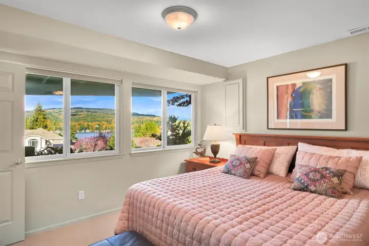 Lower Level Bedroom #3