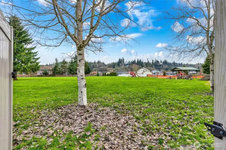 View of the park from you back patio