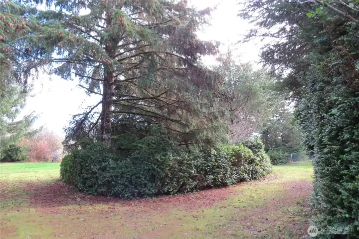 THE TWO LOTS HAVE PLENTY OF PRIVACY!  AND THERE IS A TURN AROUND AREA TO TAKE YOUR RV HOME!