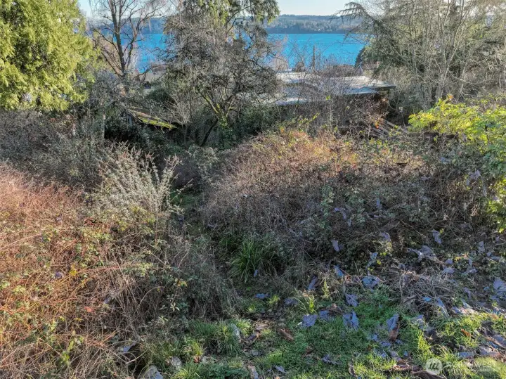 Trail down to cabin but the rest of the property has not been cleared.