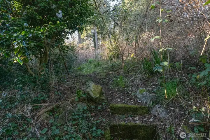 Concrete steps from path to cabin