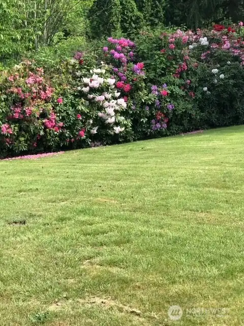 Wonderful Mature Landscaping