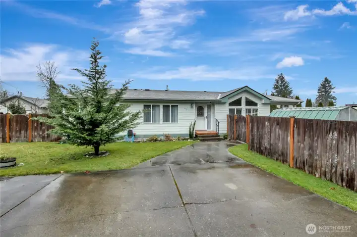 Concrete parking pad, with front yard space and healthy evergreen