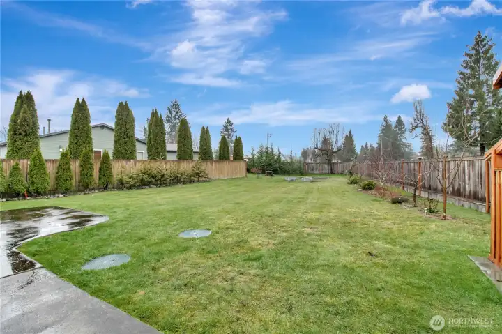 Spacious and long backyard! fully fenced!