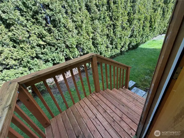 Back deck